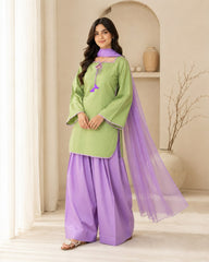 Most Trending Purple Farshi Shalwar Article ๐