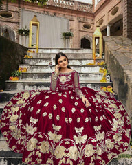 Embroidery Organza Sleeves Top With Matching  Pearls Attached Attached Embroidery Long Flare Skirt 2Pcs